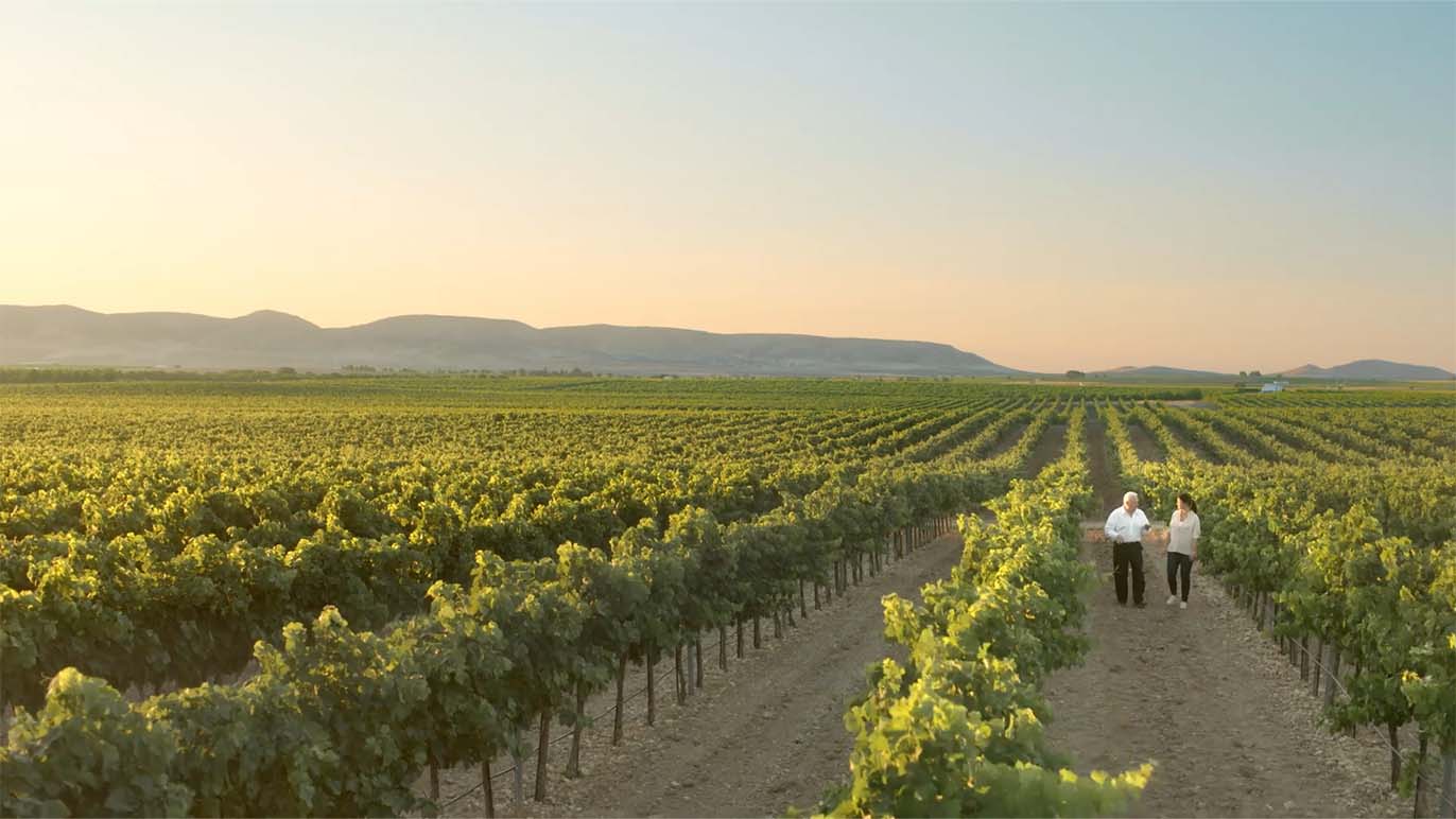 bodegas-mendieta_0006_IMAGEN VIDEO