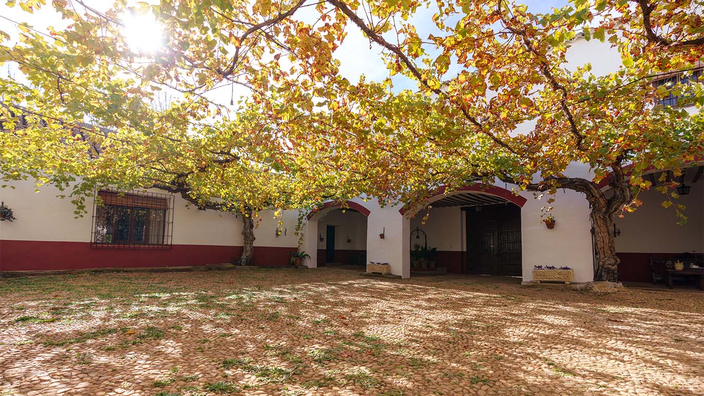 bodegas-mendieta_0008_JS 133_Bodegas Mendieta, Ciudad Real-97